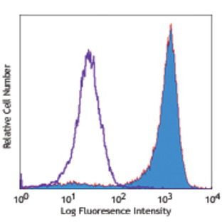 PE anti-human CD206 (MMR)