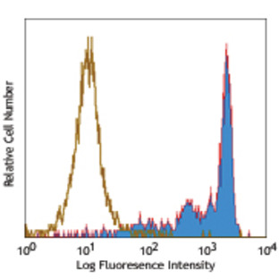 PE/Cy5 anti-human CD206 (MMR)