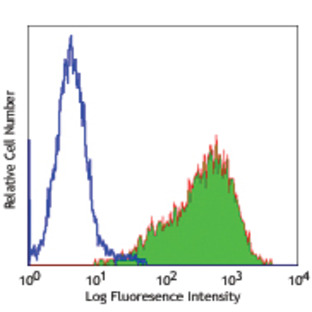 PE anti-human CD203c (E-NPP3)