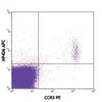 APC anti-human CD203c (E-NPP3)