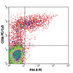 PE anti-human CD336 (NKp44)