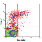 APC anti-human CD336 (NKp44)