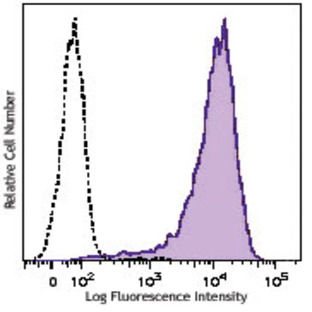 Brilliant Violet 421(TM) anti-human CD90 (Thy1)