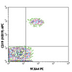 PE anti-human CD275 (B7-H2, B7-RP1, ICOSL)