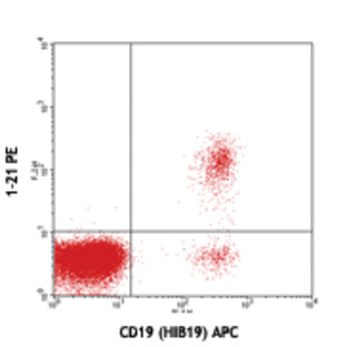 PE anti-human TCL1