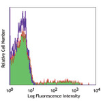 PE anti-human CD1c