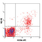 PE anti-human CD335 (NKp46)