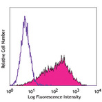 PE anti-human CD62E