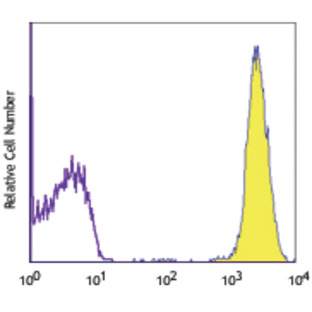 PE anti-human CD61