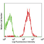 PE anti-human CD48