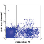 Alexa Fluor(R) 647 anti-human CD158f (KIR2DL5)