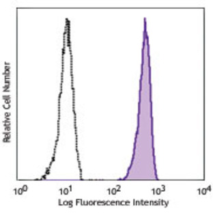 PE/Cy7 anti-human CD88 (C5aR)