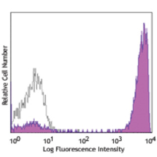 PE anti-human CD3