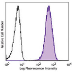 PE/Cy7 anti-human CD271 (NGFR)