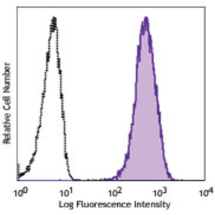 PE/Cy7 anti-human CD271 (NGFR)