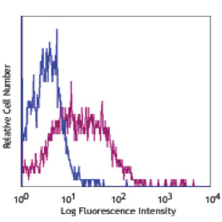 PE anti-human CD273 (B7-DC, PD-L2)