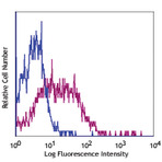 PE anti-human CD273 (B7-DC, PD-L2)