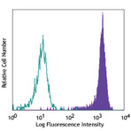 PE anti-human CD317 (BST2, Tetherin)