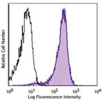 APC anti-human CD325 (N-Cadherin)