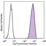 PE anti-human EGFR