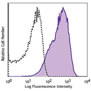 PE anti-human CD63