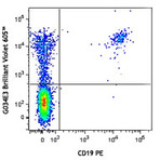 Brilliant Violet 605(TM) anti-human CD196 (CCR6)