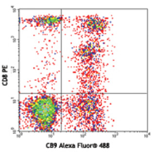 Alexa Fluor(R) 488 anti-human Granzyme A