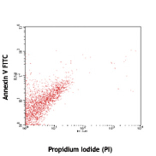 FITC Annexin V