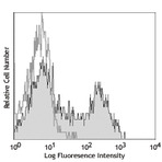 53-7dot3_purified_041106