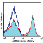 PerCP anti-mouse/human CD11b