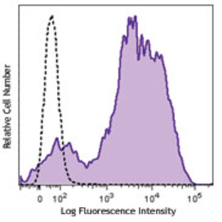 Brilliant Violet 605(TM) anti-mouse/human CD11b