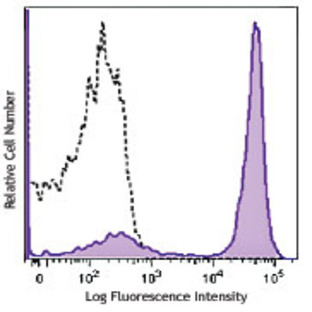 Brilliant Violet 650(TM) anti-mouse/human CD45R/B220