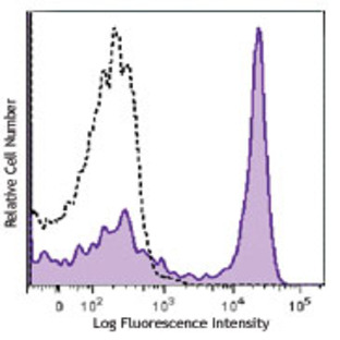 Brilliant Violet 605(TM) anti-mouse/human CD45R/B220