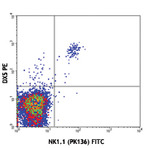 PE anti-mouse CD49b (pan-NK cells)