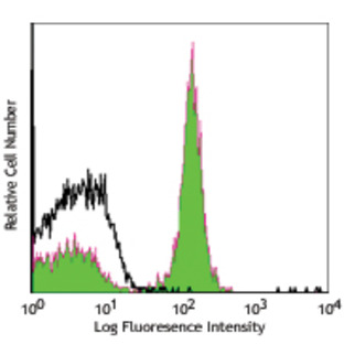 PerCP/Cy5.5 anti-mouse CD19