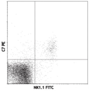 FITC anti-mouse (CD314) NKG2D