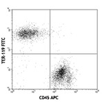 FITC anti-mouse TER-119/Erythroid Cells