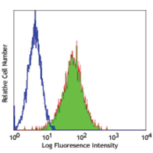 Purified anti-mouse Tim-1