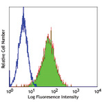 Purified anti-mouse Tim-1