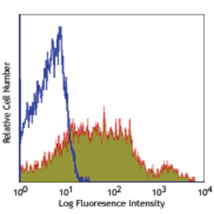 PE anti-mouse CD43 Activation-Associated Glycoform