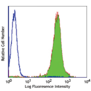 Purified anti-mouse TMTSP (THSD1)