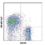 APC/Cy7 anti-mouse CD21/CD35 (CR2/CR1)