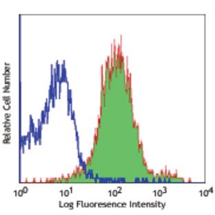 PerCP/Cy5.5 anti-mouse CD1d (CD1.1, Ly-38)