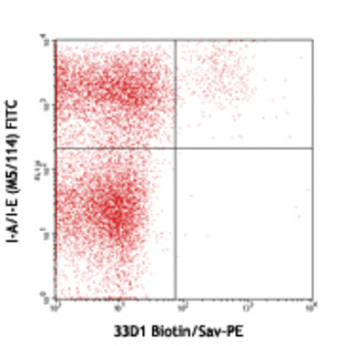 Biotin anti-mouse DC Marker (33D1)