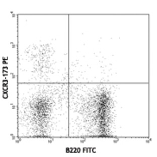 PE anti-mouse CD183 (CXCR3)