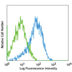 Purified anti-mouse CD309 (VEGFR2, Flk-1)