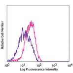 PerCP/Cy5.5 anti-mouse CD309 (VEGFR2, Flk-1)