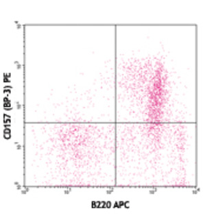 Purified anti-mouse CD157 (BST-1)