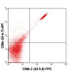 Purified anti-mouse CD8b.2