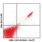 Biotin anti-mouse CD8b.2